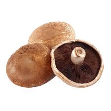 Portobello Mushroom