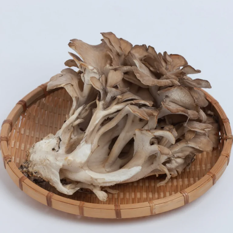 maitake-cropped-square_e7e55156-c612-4dee-b0af-77743b6e635b