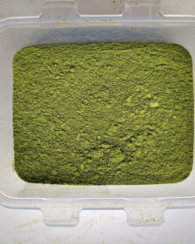 Mescaline Powder