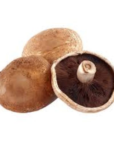 Portobello Mushroom